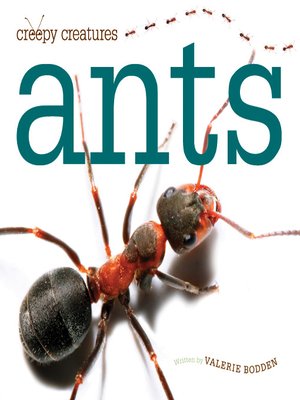 Ants - ebook